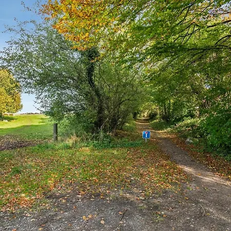 Апартаменты In With Wifi